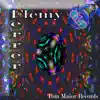 Flemy Ferrer - Ursting the Ears - Single